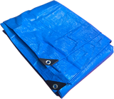 Bounce House Startup Package Balloon, Commercial Grade