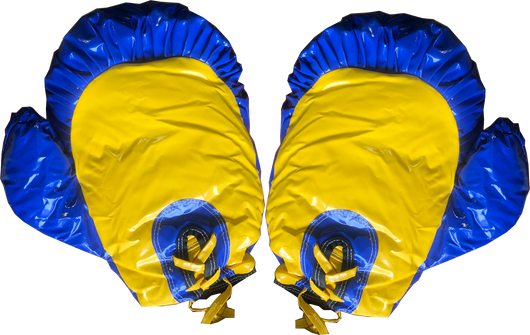 Boxing Gloves - Blue
