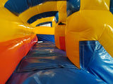 17'H Blue and Purple Double Lane Water Slide