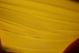 28' Balloon Bounce House Wet or Dry Water Slide Combo