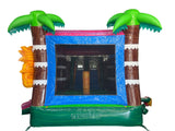 30' Pink Tropical Fruit Splash Wet or Dry Water Slide Combo
